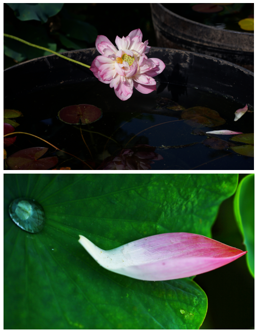 清风扬正气 清廉守初心 ——yl23455永利集团开展“廉政教育月”系列活动 - yl23455永利要闻 - yl23455永利